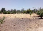 Terreno-14-C-1-Vista-al-Sur-Poniente-1